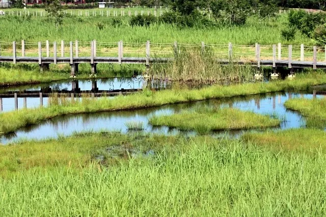 Kawaminami Wetland