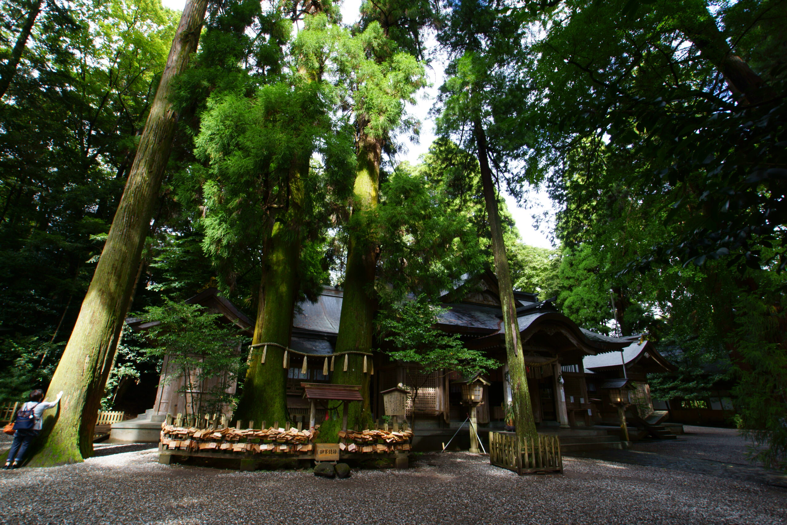 Chichibu Cedar and Kagura Hall, Takachiho Shrine
